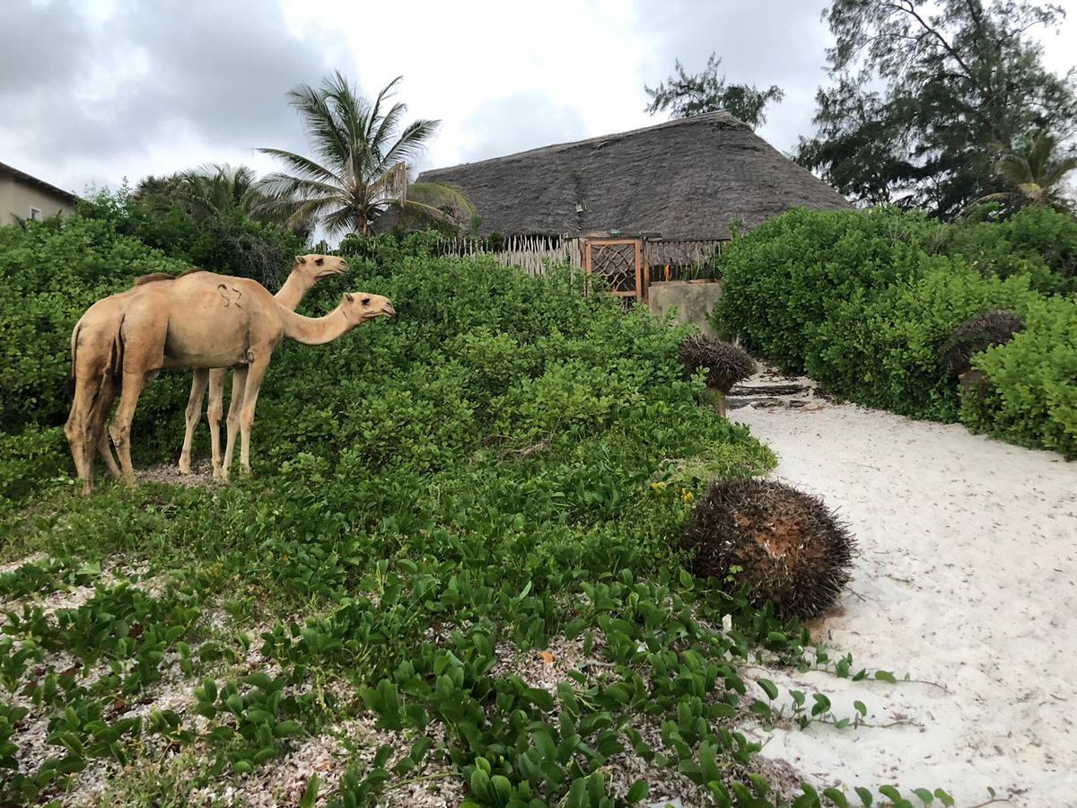 Sunset Beach Resort Watamu Dış mekan fotoğraf